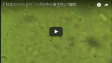 デジタル顕微鏡,マイクロスコープ,顕微鏡,高倍率,5000倍